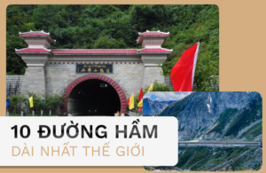 Bản Dồ Gỗ 3D bản đồ gỗ 3d